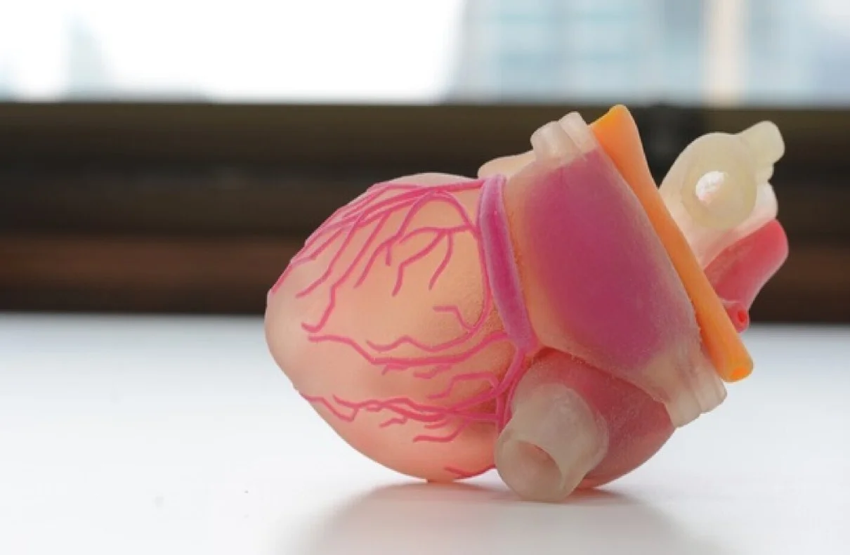 Artificial Organs Can Digital Twins Revolutionize Medicine