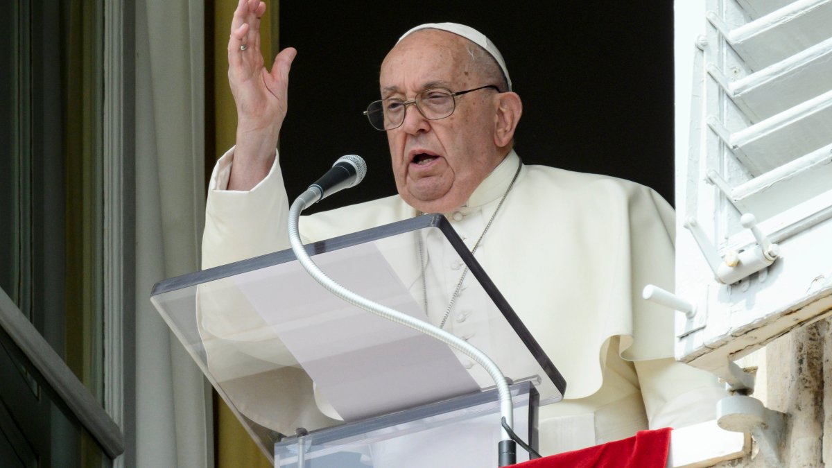 Pope Francis cancels audiences due to mild flu-like illness
